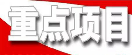 抓住项目不放松---王勤光到江南APP官方网站BANDAO集团调研重点项目情况